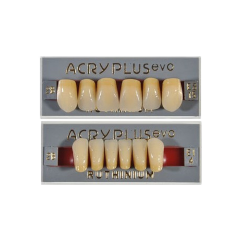 Denti Acry Plus Evo | Reox – Reox srl